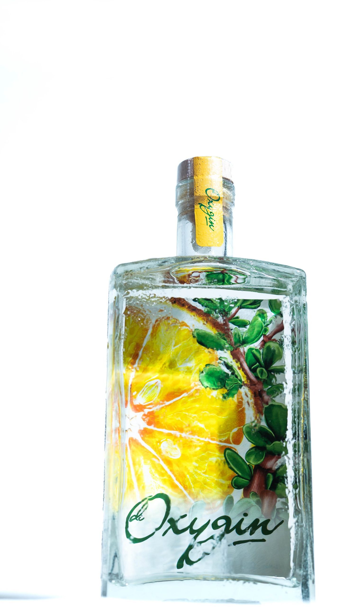 Oxygin_01