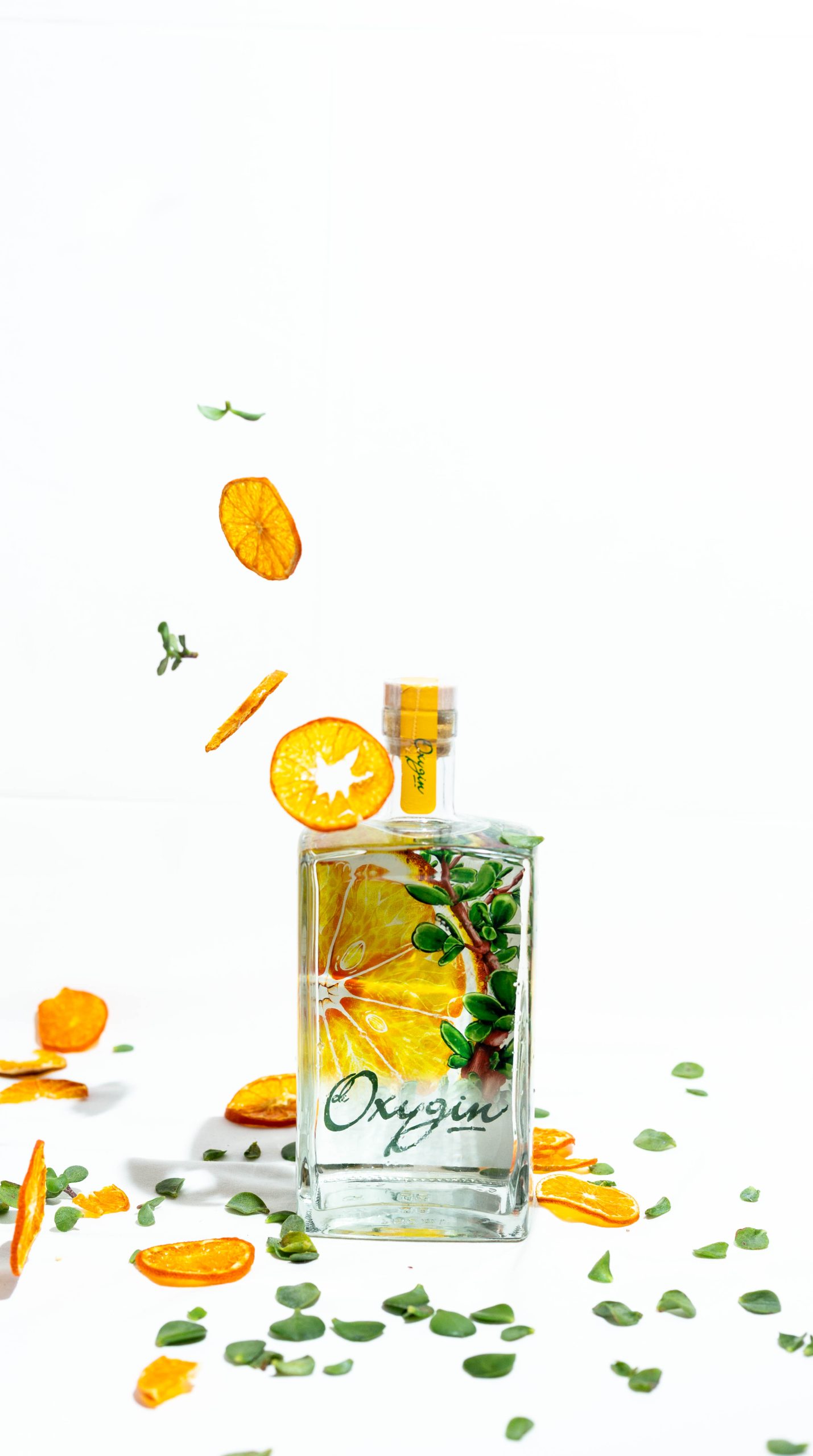 Oxygin_03