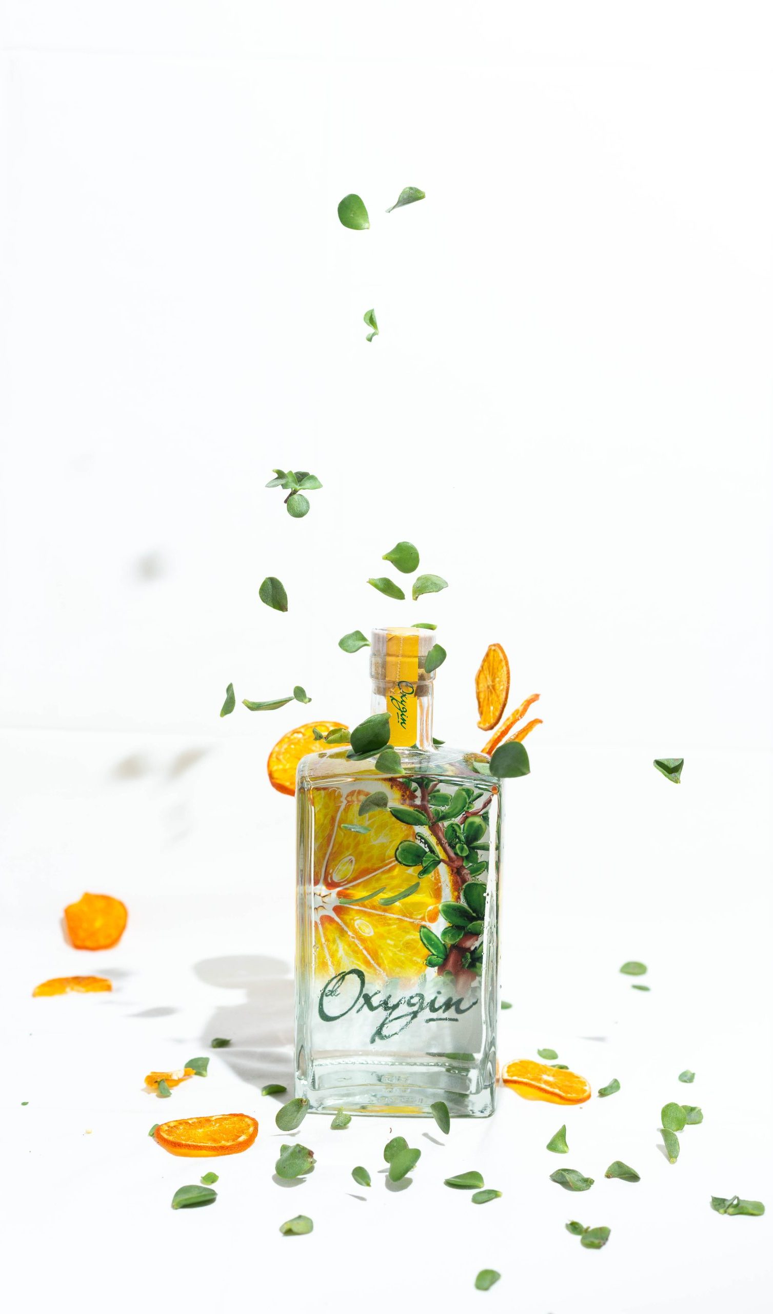 Oxygin_09