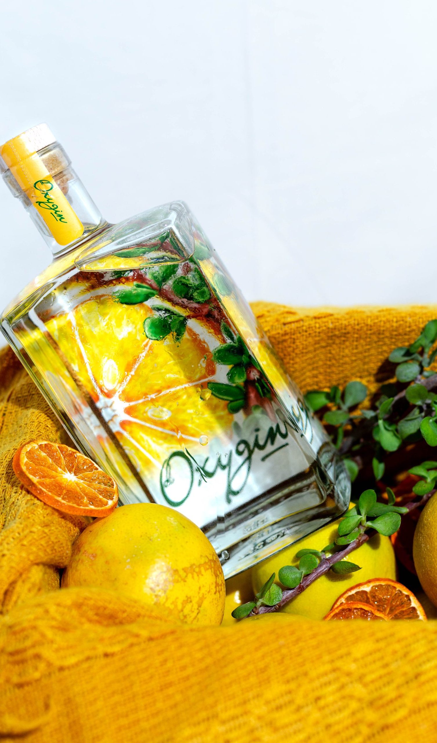 Oxygin_10